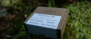 Scopoli-Discovery Set